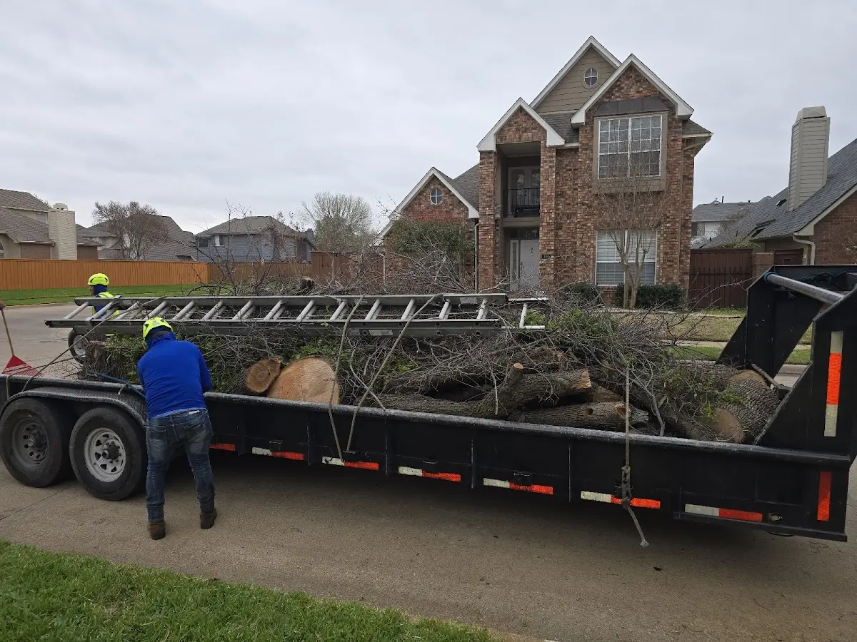 Expert Tree Fertilization with proper safety equipment in Otley